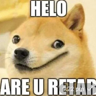 Telegram profile photo for Retard Meme Posting
