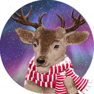 Telegram profile photo for Териберка Подслушано