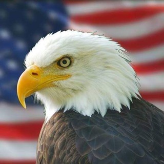 Telegram profile photo for Defense Of Freedom πΊπΈ