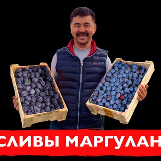 Telegram profile photo for Сливы Маргулана