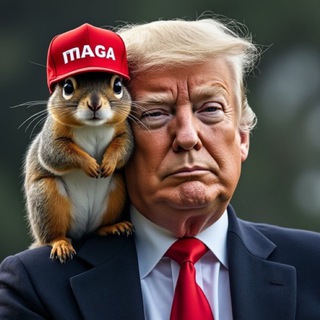 Telegram group profile photo for SquirrelNuts (NUTZ)
