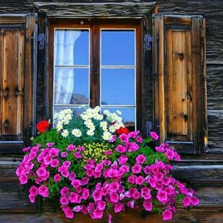 Telegram profile photo for ✔پنجره ایی رو به روشنایی
