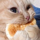 Telegram profile photo for Козявка (Рэсла)