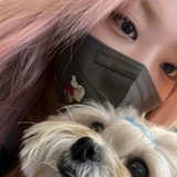 Telegram profile photo for Lippie's Archive.