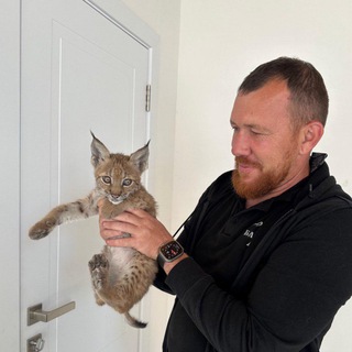 Telegram profile photo for Александр Чубаков
