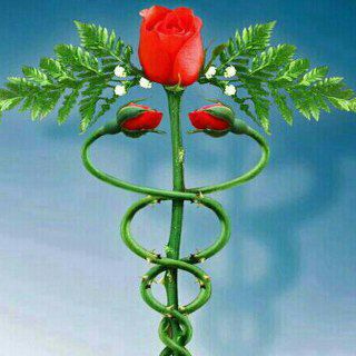 Telegram profile photo for کانال تخصصی طب سنتی طب الریحان