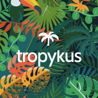 Telegram group profile photo for TROPYKUS CIERRE GRADUAL