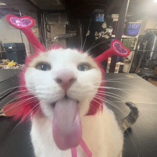 Telegram profile photo for Фотокартинки