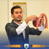 Telegram profile photo for زیندەزانی 12 :: رابەر طالب حمد