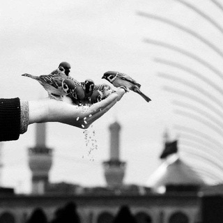 Telegram profile photo for عصفورة قلبي🕊