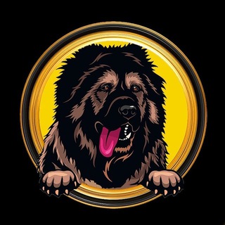 Telegram profile photo for KUMA KIRA ENTRY