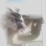 Telegram profile photo for Глава картеля