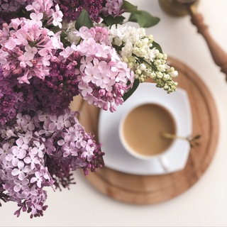 Telegram profile photo for 🌸BLOOMING HOME 🌸