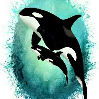 Telegram profile photo for خانواده مادر، مطالب معنوی