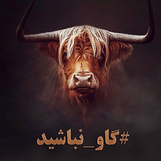 Telegram profile photo for لدفن گاو نباشیم !