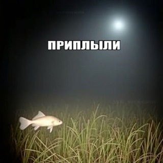 Telegram profile photo for комфи фишен