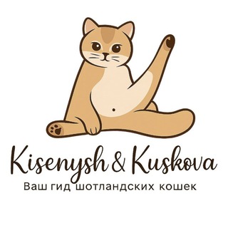 Telegram profile photo for Kisenysh & Kuskova