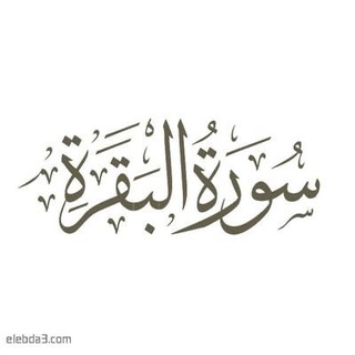 Telegram profile photo for قصص سورة البقرة💚✨