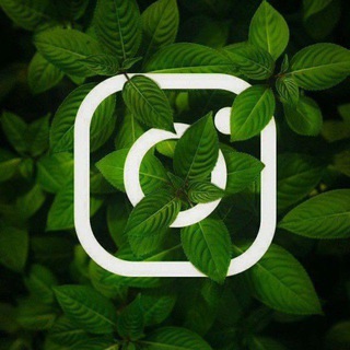 Telegram profile photo for رشق متابعين انستا دليل ثقه
