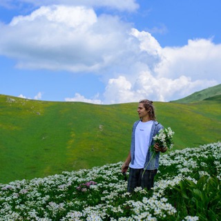 Telegram profile photo for Viktór Pchelovek 🌞