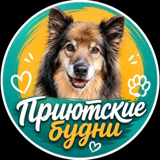 Telegram profile photo for Приютские Будни