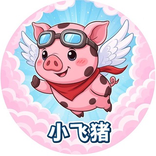 Telegram group profile photo for 亚太小飞猪聊天群