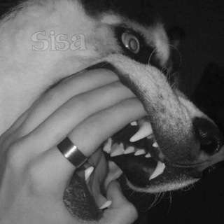 Telegram profile photo for سیسە🖤.