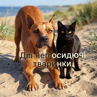 Telegram profile photo for Дві непосидючі тваринки.