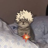Telegram profile photo for BIO
