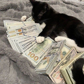 Telegram profile photo for ⁽♔₎┋𝐄𝐁𝐍𝐄𝐋𝐍𝐄𝐆𝐌 ┋: