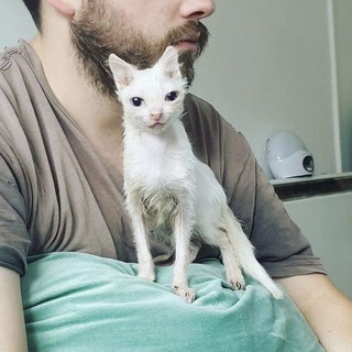 Telegram profile photo for Щп Тусяши