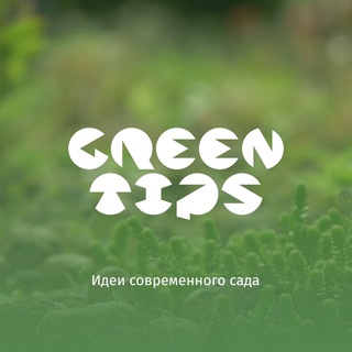 Telegram profile photo for Green Tips - дизайн современного сада