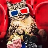 Telegram profile photo for 💥Всё о кино 🎥🎬🎦