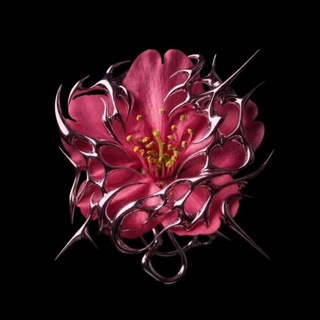 Telegram profile photo for 台 casa de ara.