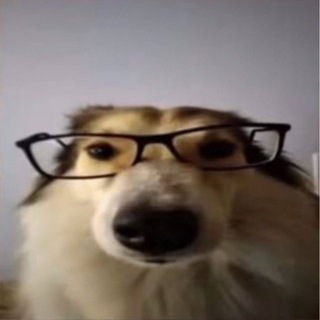 Telegram profile photo for AА отзывы