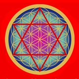 Telegram profile photo for Autogestiona tu salud