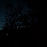Telegram profile photo for kernel2