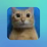 Telegram profile photo for Donate Wen?