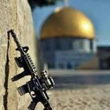 Telegram profile photo for الصحفية أسماء شكر