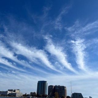 Telegram group profile photo for VIRGINIA SKYWATCH Chat