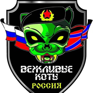 Telegram profile photo for Не злите котиков 😼