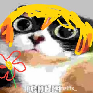 Telegram profile photo for Я вашей маме цветы дарил конфешн 🤩💐