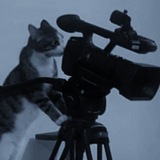 Telegram profile photo for shot by yunostgroma