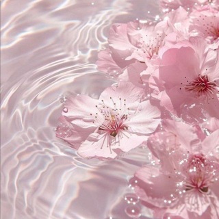 Telegram profile photo for peony! ๐ธ
