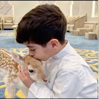 Telegram profile photo for - شَعور مّهلك | ¹ .