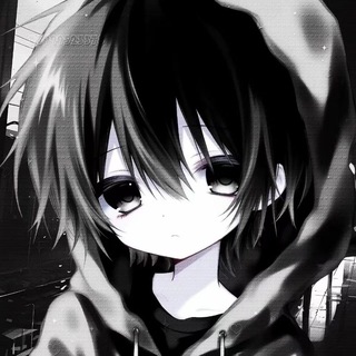 Telegram group profile photo for SH数据号反馈交流群