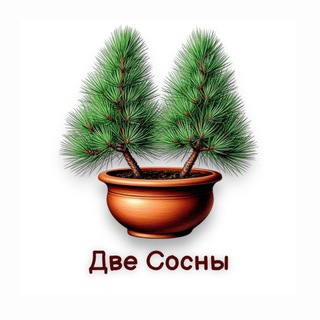 Telegram profile photo for Студия озеленения | Цветы, растения