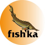 Telegram profile photo for РЫБОЛОВНЫЙ КЛУБ ФИШКА🐠