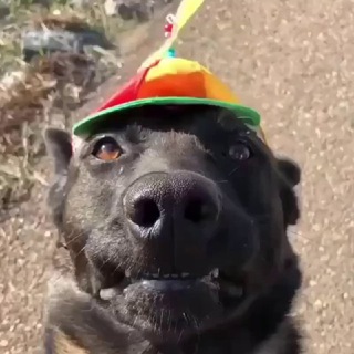 Telegram profile photo for Звездные анекдоты | Дом 2 отдыхает