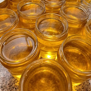 Telegram profile photo for Масло Гхи 🍯